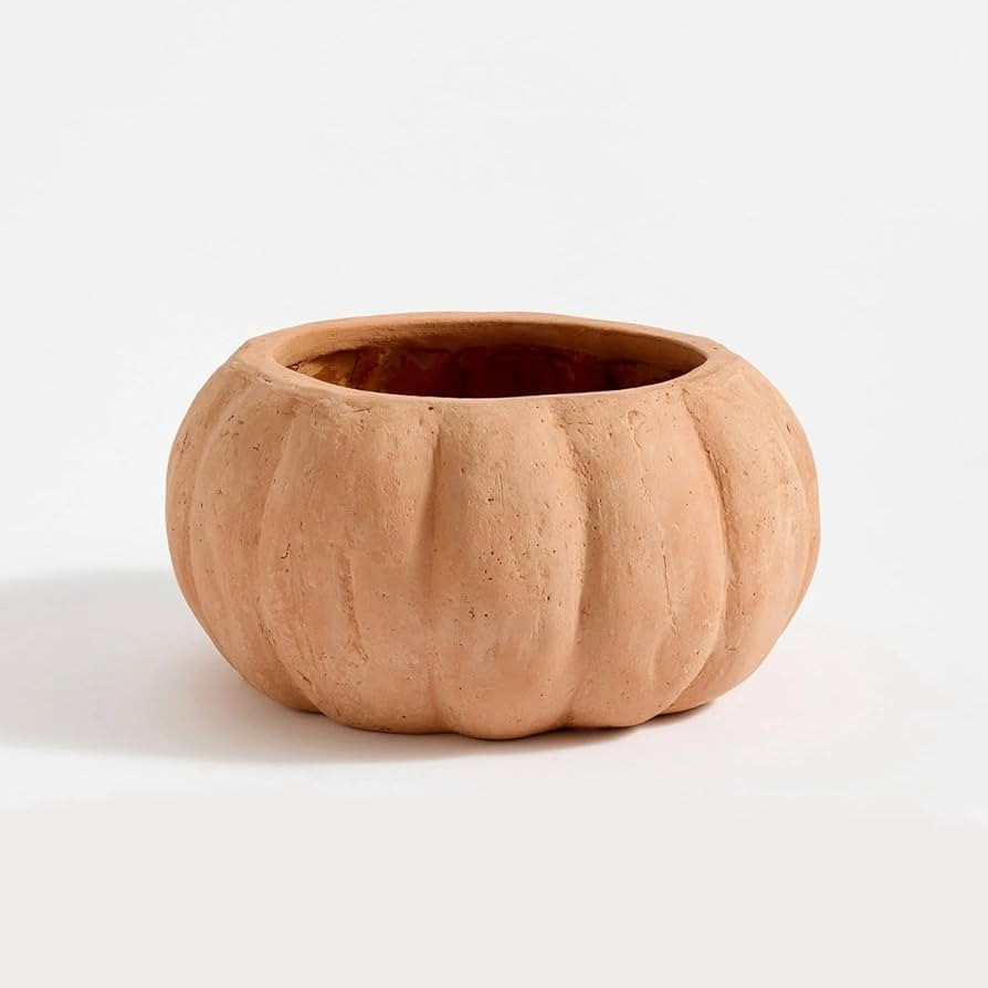 Pumpkin Planter Halloween Indoor and Outdoor Small Pumpkin Planter Resin Pot,Halloween Decoration... | Amazon (US)