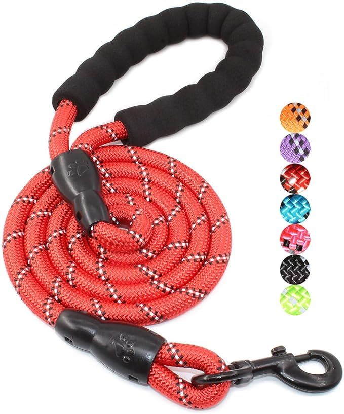 BAAPET 2/4/5/6 FT Strong Dog Leash with Comfortable Padded Handle and Highly Reflective Threads f... | Amazon (US)