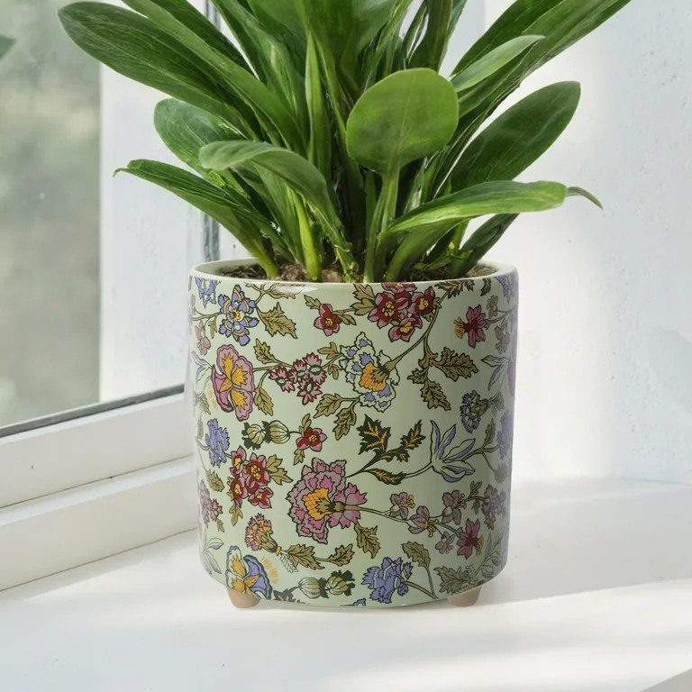 Beautiful 8-Inch Sage Wildflower Footed Ceramic Planter by Drew Barrymore | Walmart (US)