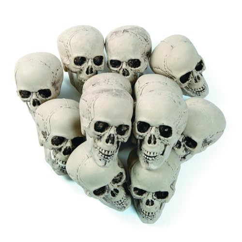Bag of Realistic Bulk Skeleton Skulls (12 Pack) 5 Inch Human Skulls Halloween Decorations, Bar and Table Halloween Decor, Spooky Yard Decor | Amazon (US)