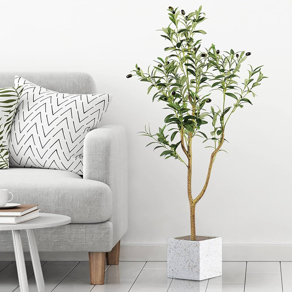 Visit the YOLEO Store | Amazon (US)