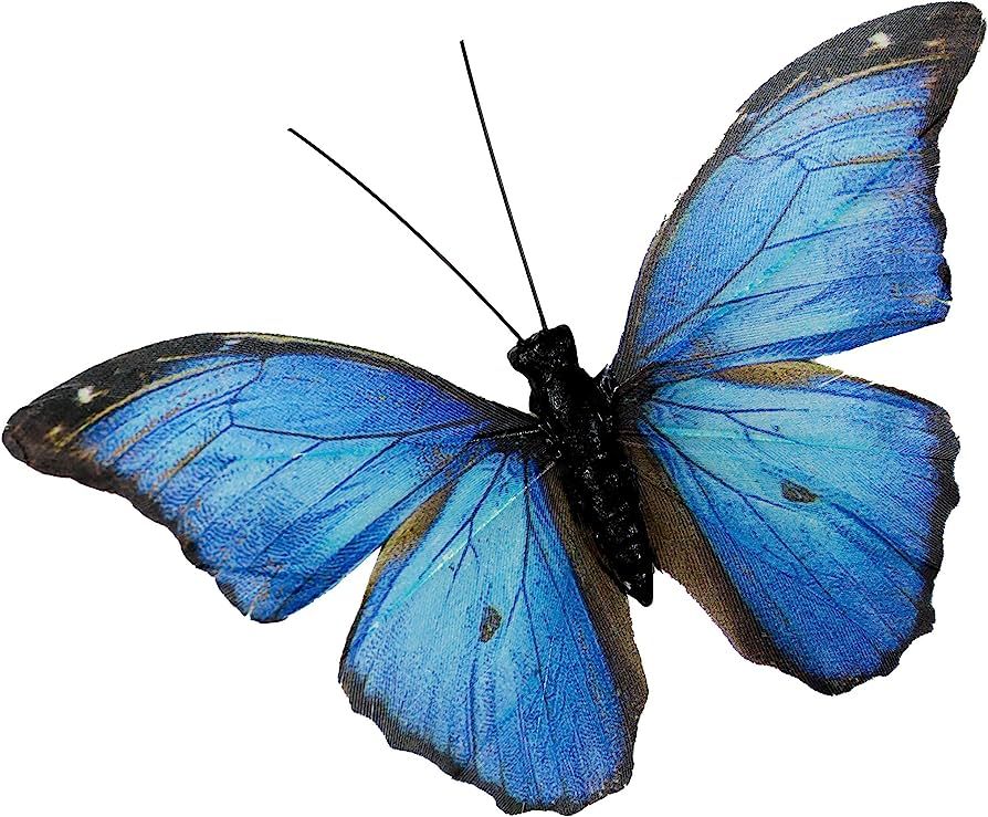 Berfutall-Morpho Butterfly Feather Butterflies on Picks Floral Supplies Set of 12 pcs Halloween T... | Amazon (US)