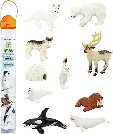 Safari Ltd Arctic TOOB With 10 Fun Figurines, Including A Harp Seal, Husky, Caribou, Arctic Rabbi... | Amazon (US)