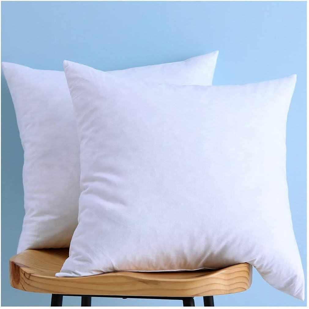 Cotton Fabric Pillow Inserts, Down and Feather Throw Pillow Inserts, 24X24 Inches, Set of 2 | Amazon (US)