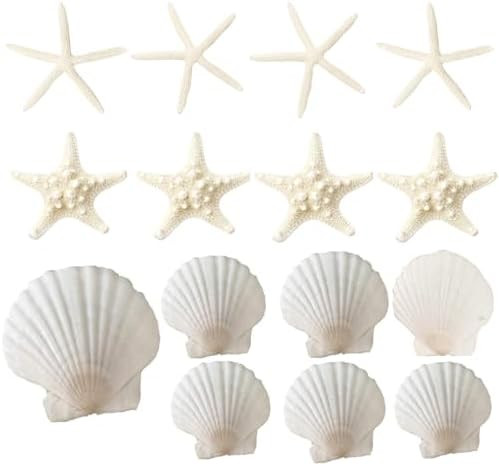 15 PCS 3-4 Inches Large Starfish 2-6 Inch Mixed Natural Scallop Shells Perfect for Wedding Decor ... | Amazon (US)
