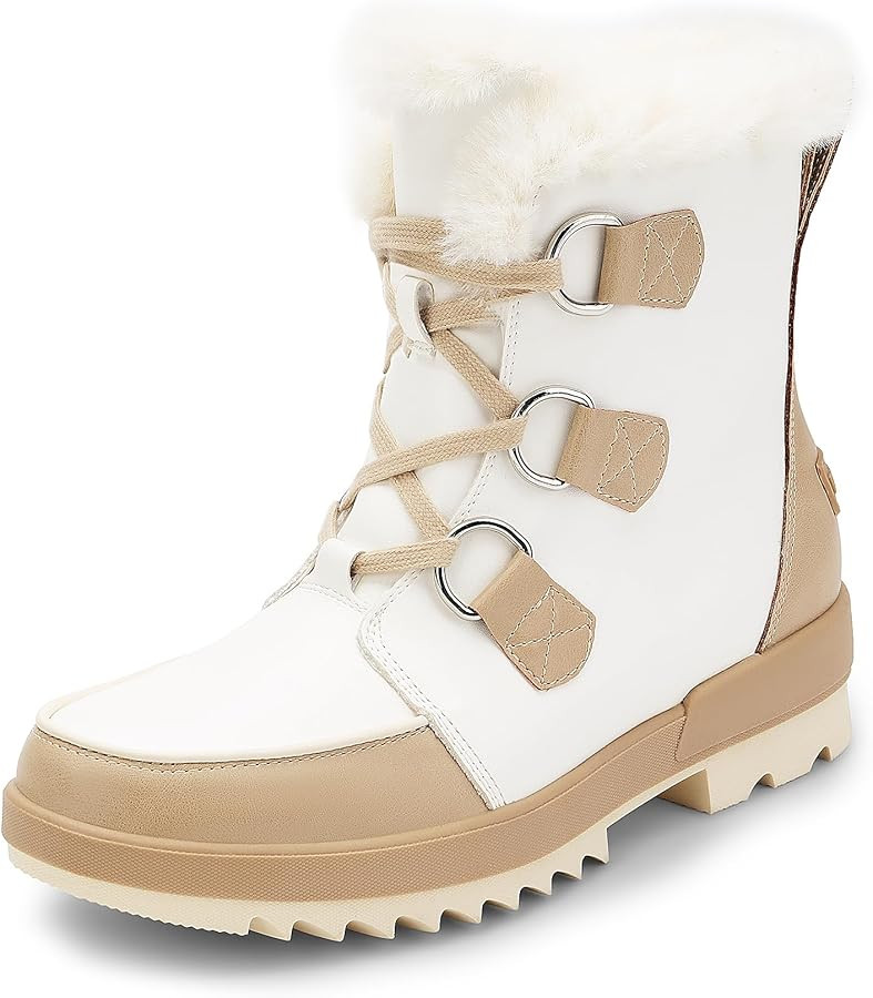 DREAM PAIRS Ankle Winter Boots for Women Snow Boots Anti-Slip Resistant Classic Warm Faux Fur Lin... | Amazon (US)