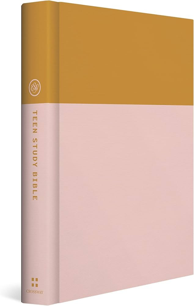 ESV Teen Study Bible (Desert Sun) | Amazon (US)