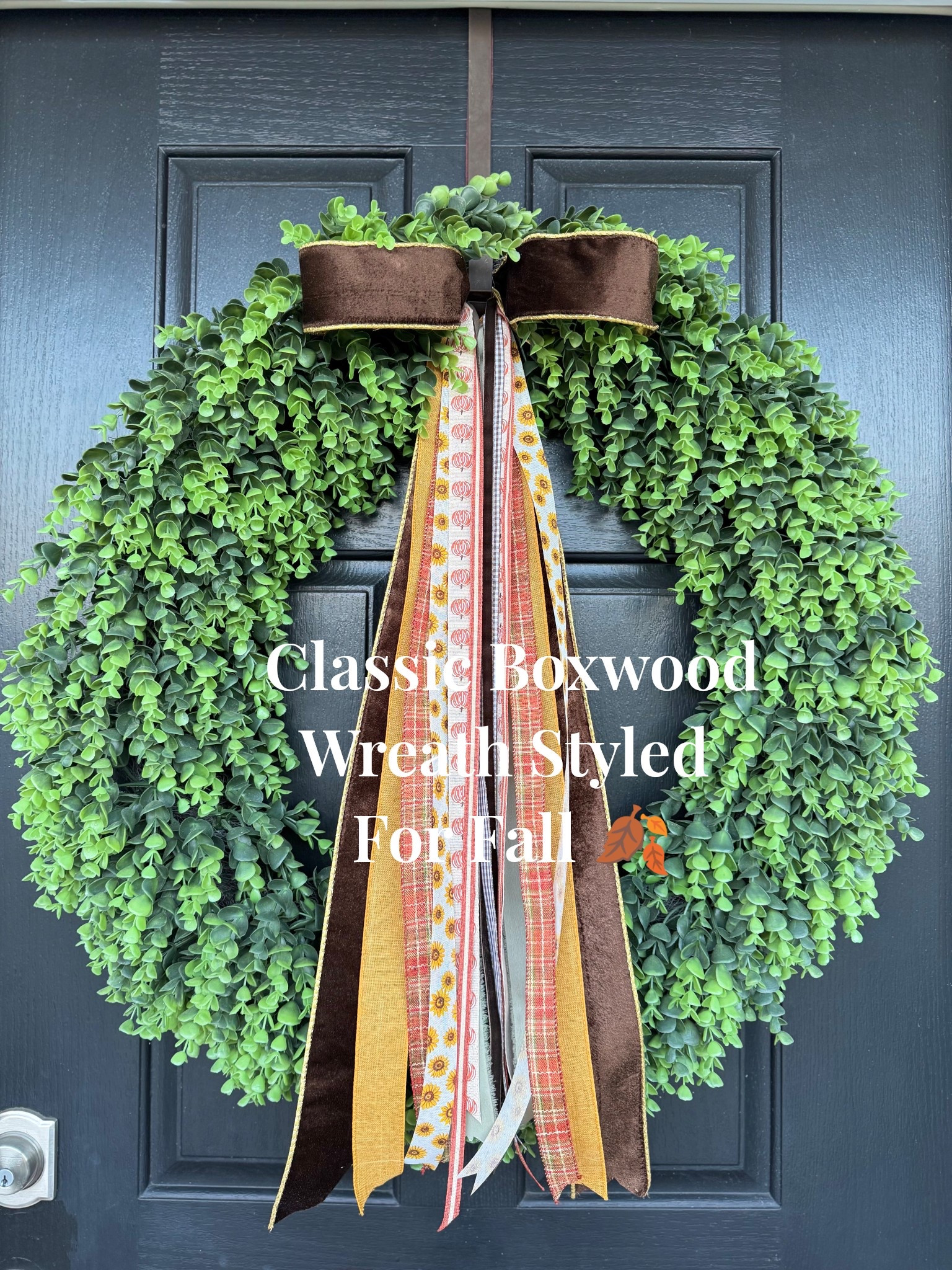 Cozy fall welcome with a classic boxwood wreath and layered ribbons. 
#LTKFall #LTKAutumn #LTKFallFrontDoor #LTKFallWreath #LTKCozyWelcome #LTKFrontDoorWreath 


#LTKStyleTip #LTKHome #LTKSeasonal