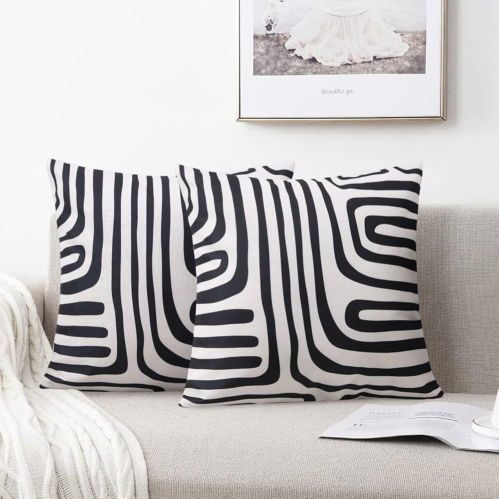 Pyonic Pack of 2 Farmhouse Decorative Throw Pillow Covers Modern Decorative Geometric Home Cushio... | Amazon (US)