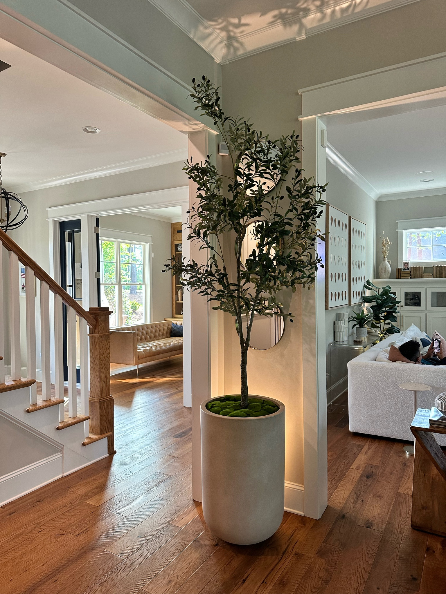 Olive Tree with Uplight (this is 7ft)

#LTKhome