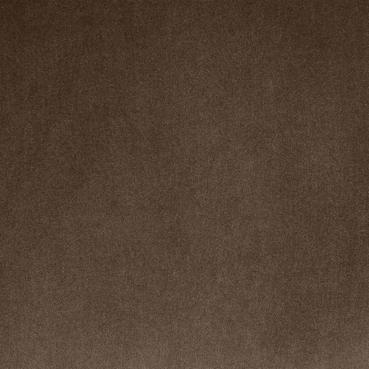 Mercer41 Ethalind Velvet Chair | Wayfair | Wayfair North America