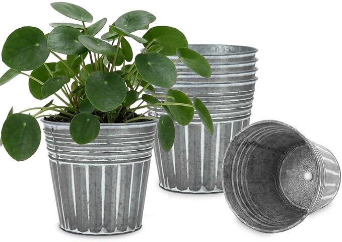 vensovo Galvanised Metal Plant Pots for Indoor Outdoor Use – 6Pcs Rustic Flower Planters with D... | Amazon (CA)