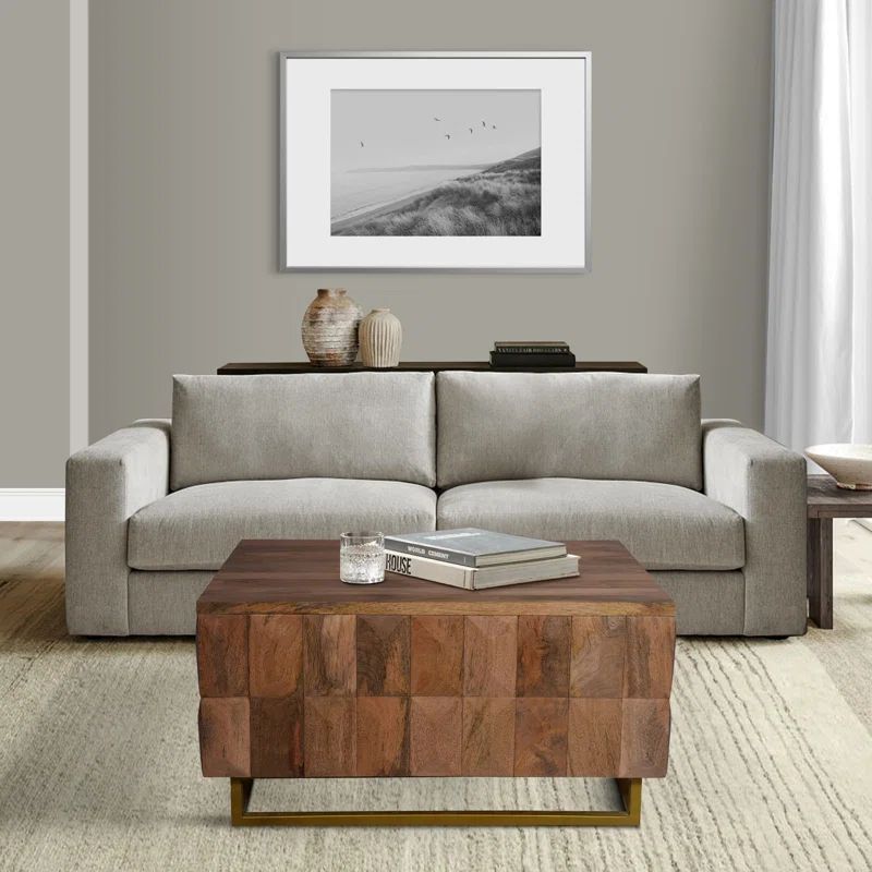 Damarian Solid Wood Detachable Top Frame Coffee Table with Storage | Wayfair North America