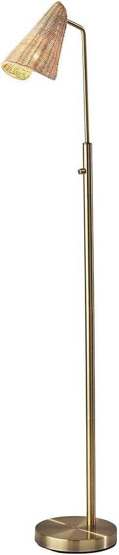 Adesso Cove 58-inch Antique Brass Floor Lamp with Irregular Shade (5113-21) | Amazon (US)