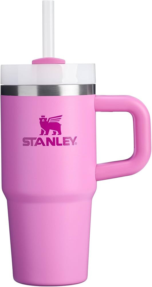 STANLEY Quencher H2.0 Tumbler with Handle and Straw 14 oz | Flowstate 3-Position Lid | Cup Holder... | Amazon (US)