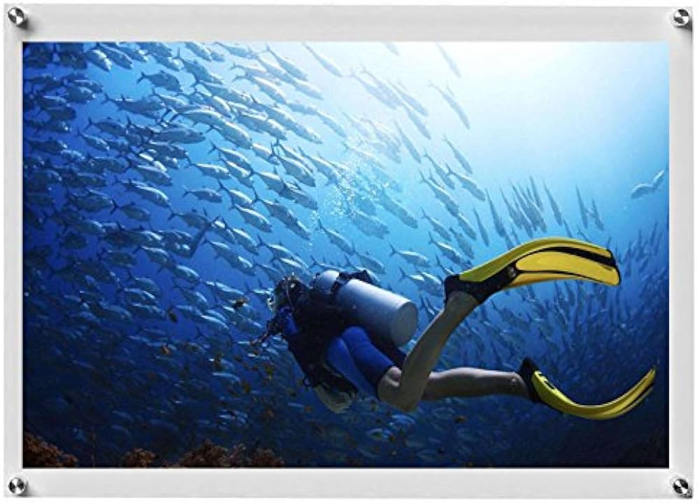 4x6 Floating Acrylic Picture Frame With Chrome Standoff Double Panel Wall Mount Photo Frame for Pict | Amazon (US)