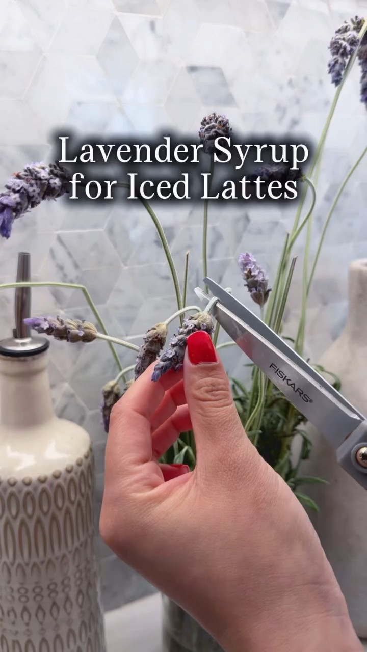 As a mom, I find a flavored iced coffee drink is a wonderful little treat that helps me function better during the day. Lately I’ve been making iced lavender lattes at home using this simple lavender syrup, and it makes my drink feel special.

I like keeping the syrup in a glass syrup dispenser so it’s easy to pour and looks pretty on the counter.

Try it it’s worth the effort! *Make sure you’re using culinary lavender — the kind sold for cooking. You can usually find it from a farmers market vendor that sells herbs or in the herb section at garden centers.

Lavender Simple Syrup Recipe:

Ingredients
• 1 cup water
• 1 cup sugar
• Fresh culinary lavender flowers

Directions
Bring the water and sugar to a simmer and stir until the sugar fully dissolves. Turn off the heat, add the lavender flowers, and let them steep for about 20 minutes. Strain and pour the syrup into a glass dispenser or jar.

Use a tablespoon or so in iced coffee or lattes for a light floral flavor.

Follow along for more herb-inspired kitchen ideas 🌿

#lavendersyrup #icedcoffee #lavenderlatte #momlife

#LTKfoodie #LTKHome #LTKmorningroutine