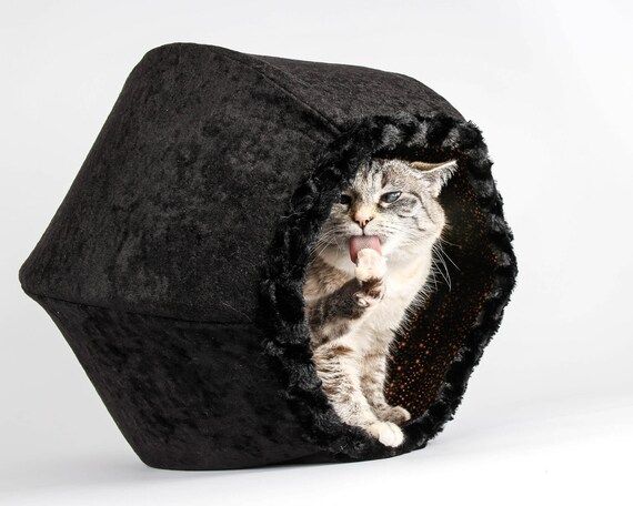 Black Velvet Cat Cave With Metallic Copper Stars Lining  The | Etsy | Etsy (US)
