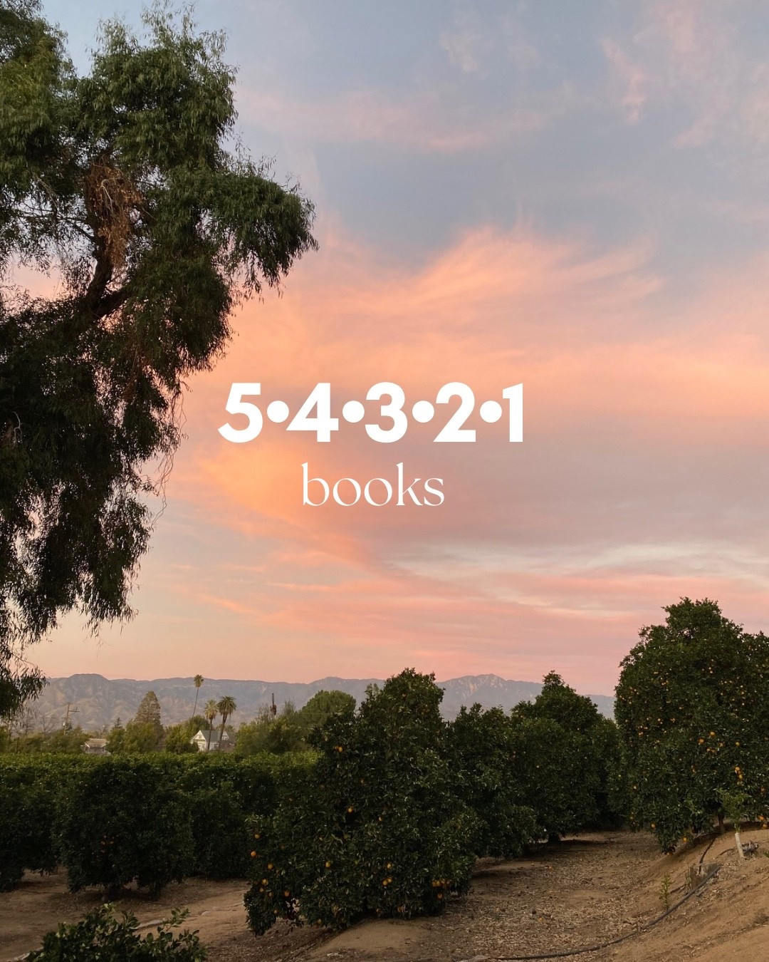 54321 book challenge

5 books I love
4 books on my TBR
3 books I always recommend
2 recent reads
1 current read

#LTKFindsUnder50