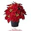 16“ Artificial Poinsettias Flowers for Outdoors Red Faux Christmas Poinsettia Plant 11 Heads Wi... | Amazon (US)