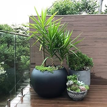 DTY Signature Mount Sherman 1-Piece Fiberstone Planter for Indoor/Outdoor, Black, 13.5" H x 17" D... | Amazon (US)