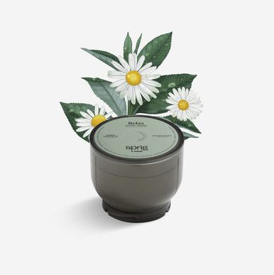 Relax Shower Infusion Pod | Sprig