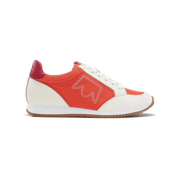 the roadrunner | BIRDIES