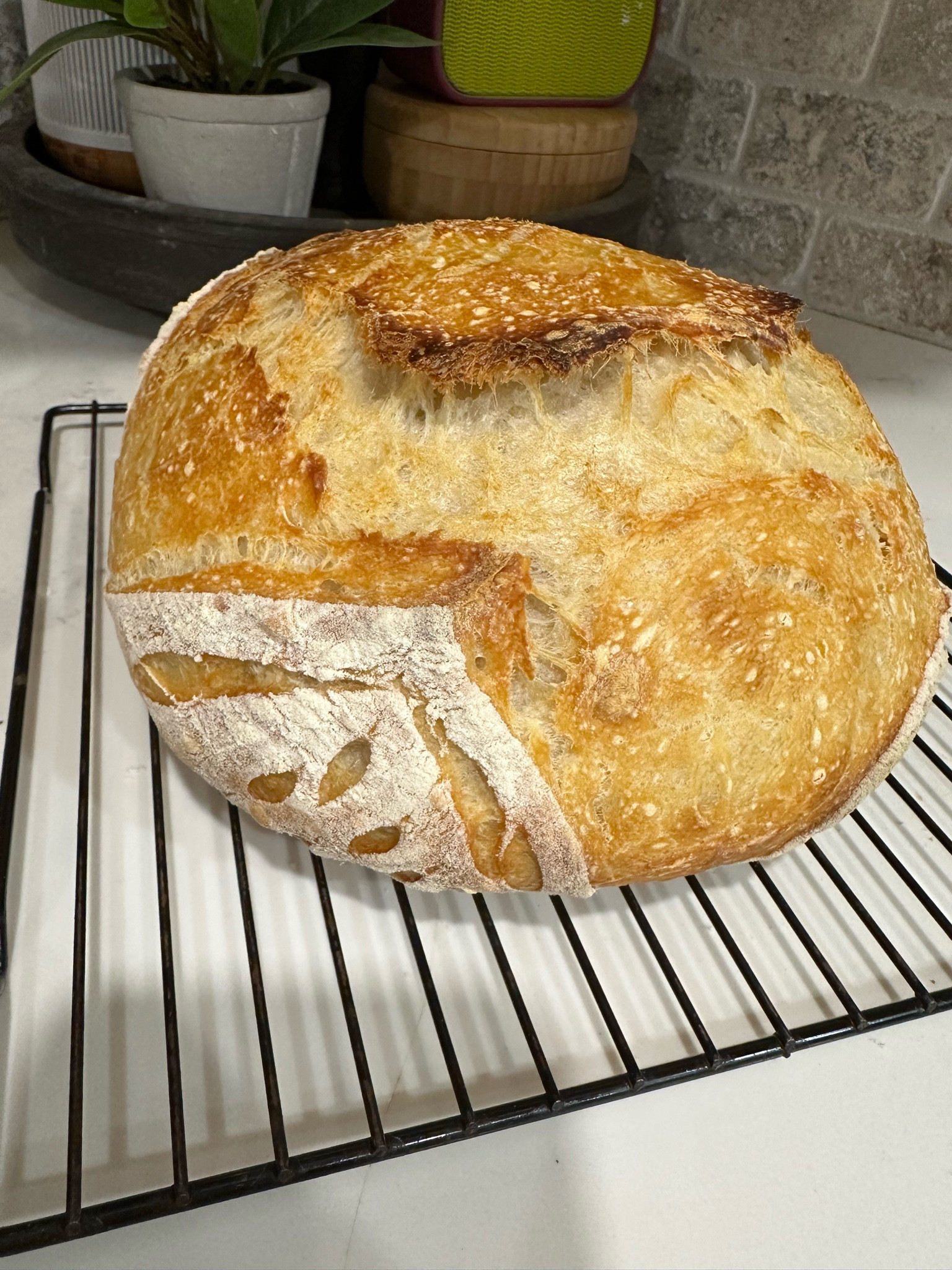 Sourdough essentials 

#LTKhome #LTKfamily