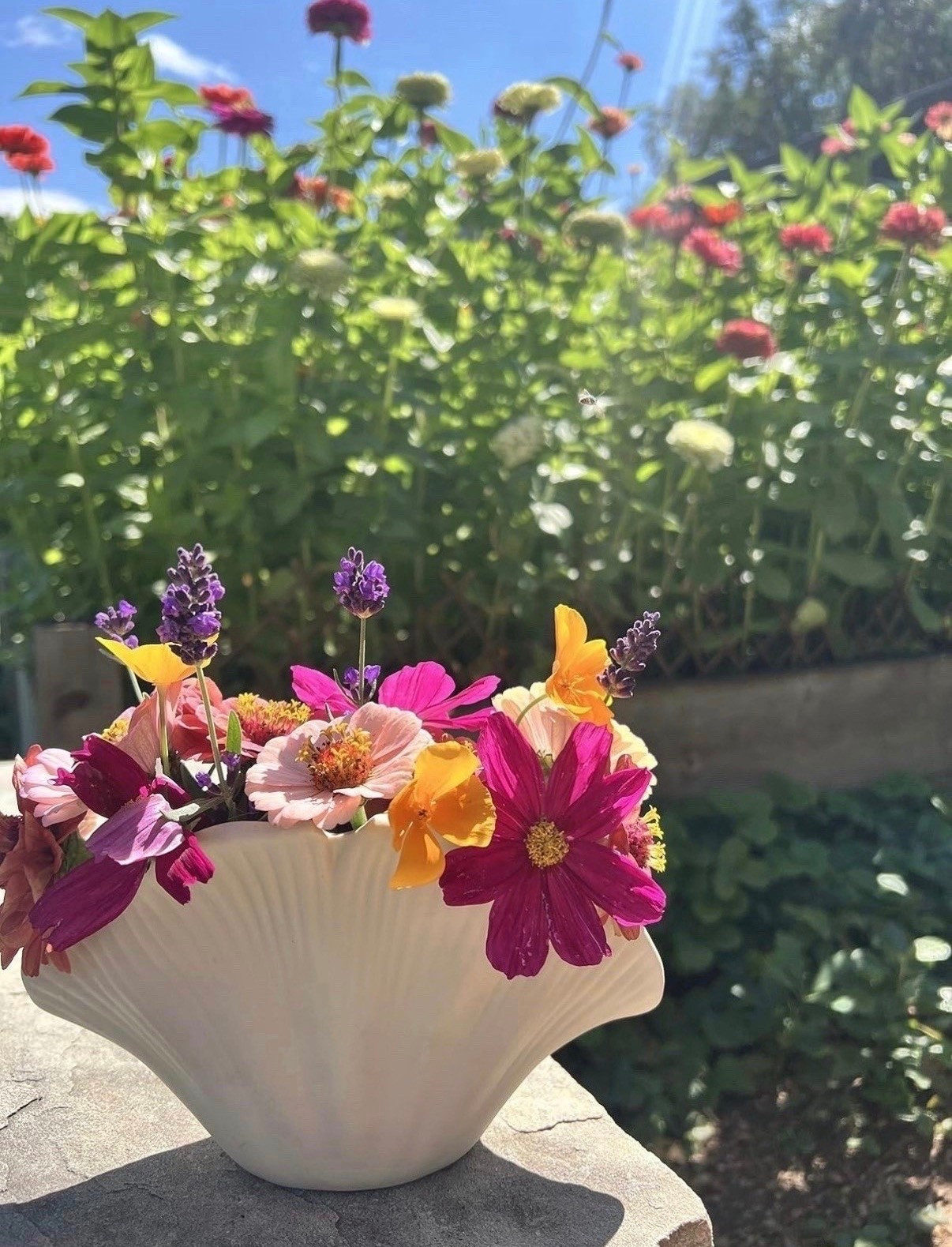 Wanting to elevate your flower arrangements this year? One of my all time favorites from last year was this shell vase! I had a blast putting together different combinations of my harvested blooms 🌸💐

#LTKHome #LTKSeasonal #LTKSaleAlert