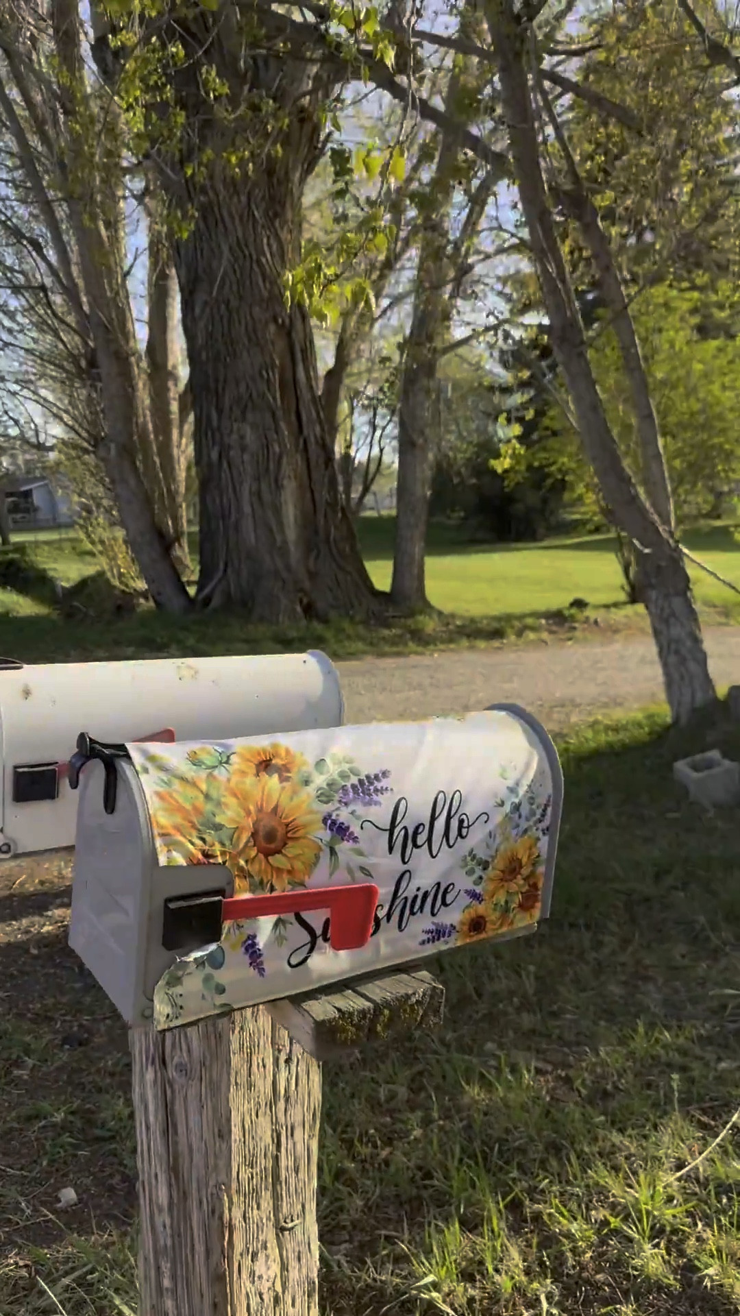 Evergreen offers the cutest mailbox covers! All it takes are inserting to magnets on each side and it goes perfectly over your mailbox even has a section for the flag   ￼

#LTKdayinmylife #LTKHome #LTKMothersDay