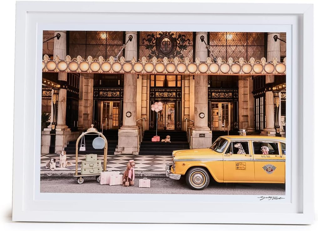 Gray Malin Women's Welcome to The Plaza Hotel | Amazon (US)