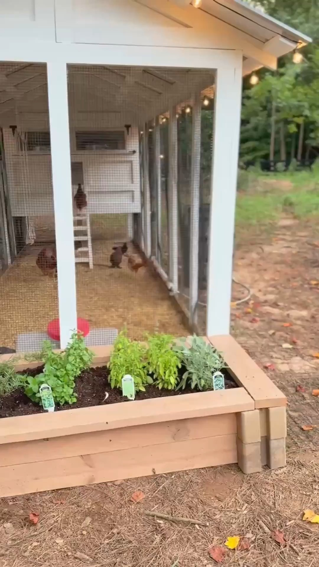 👀 A chicken coop that could be in a design magazine… White exterior, natural wood planter box, herbs ready for the kitchen, and happy hens inside. Modern Classic living goes beyond interiors—it’s a lifestyle. 🤍

Do you want to bring our dreamy Modern Classic style interior design into your own home? 🏡 You’re in luck! Reserve our Online Interior Design packages today -> https://porcheandco.com/edesign ✨ We can’t wait to work with you & design your home with #porcheandco

#OutdoorDesign #PorcheAndCo #ModernClassicStyle #ChickenCoopDesign #BackyardInspiration #FarmToTableLiving #OutdoorSpaces



#LTKHome #LTKOver40 #LTKvlog