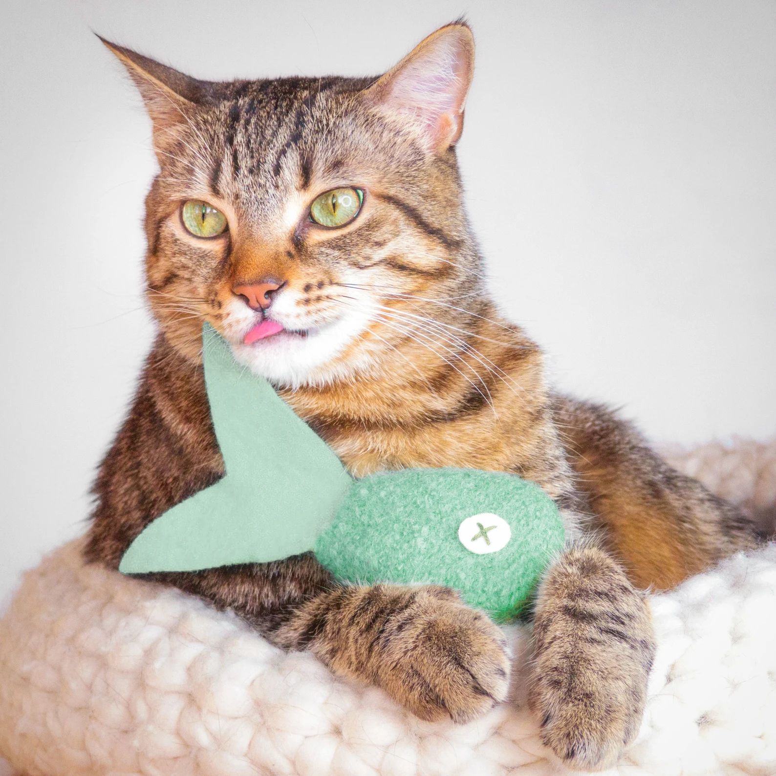 Catnip Toy. Cat toy. Catnip Fish. Mint Tropical Fish. Valerian | Etsy | Etsy (US)