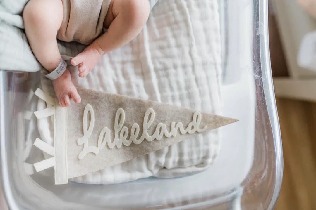 Custom Mini Pennant for Baby, Small Name Flag for Newborn Hospital Photos, Personalized Photo Pro... | Etsy (US)