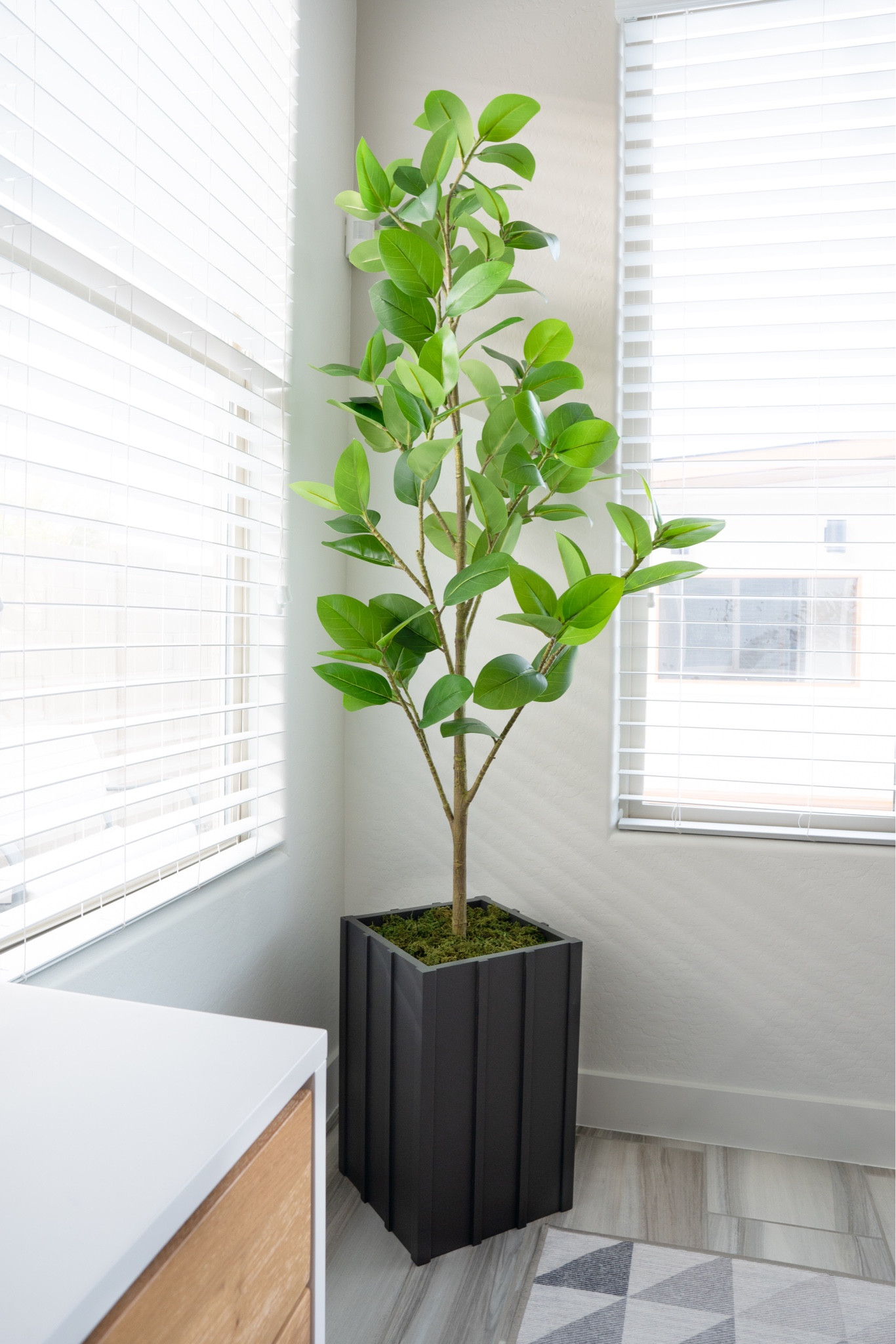 The perfect faux tree for your home! Tall and realistic greenery! Home decor! Home accessories!

#LTKsalealert #LTKhome #LTKstyletip