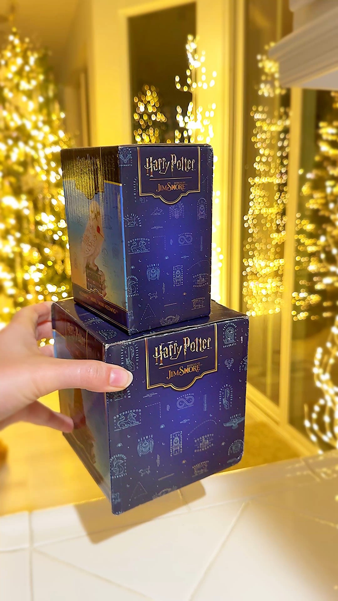 My two favorite mascots finally arrived! 