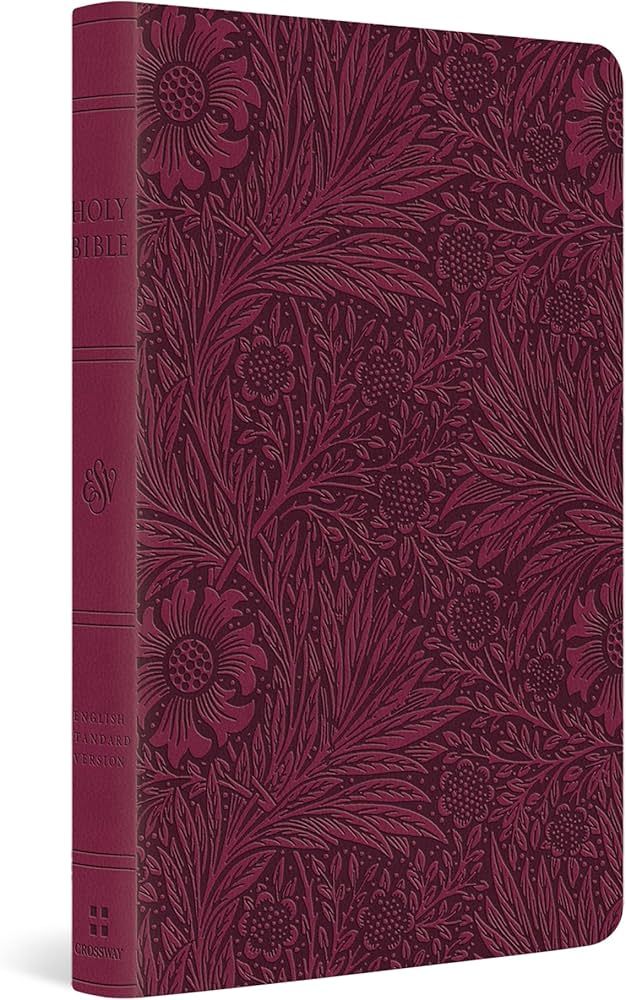 ESV Large Print Value Thinline Bible (TruTone, Raspberry, Floral Design) | Amazon (US)