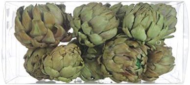 Creative Co-op Boxed (Set of 9 Styles) Dried Artichokes, Green | Amazon (US)