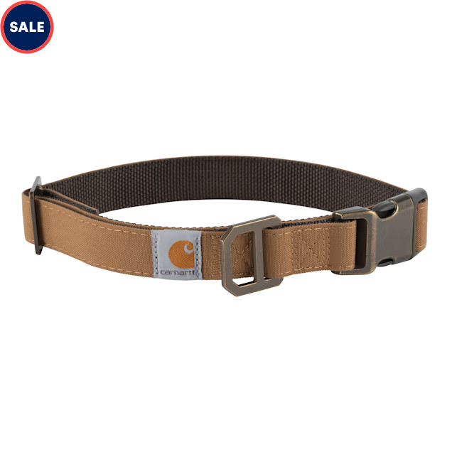 Carhartt Nylon Duck Dog Collar, Brown/Dark Brown, Medium | Petco