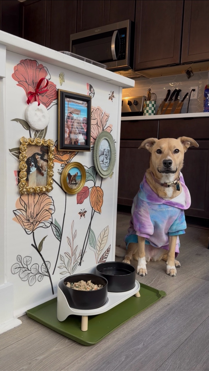 She’s just a dog.

So naturally… she needed her own gallery wall.

I don’t make the rules. I just live here with her.

And honestly? The nose bop at the end feels like approval.

#dogmomlife #cozyhome #petfriendlyhome #gallerywallideas #everydaymoments

cozy pet home | dog mom life | pet gallery wall | home decor ideas | living with dogs