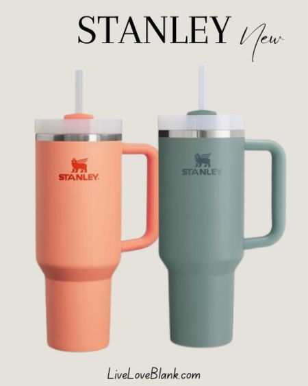 Stanley at Amazon…multiple colors available 



#LTKfindsunder50 #LTKfamily #LTKSeasonal