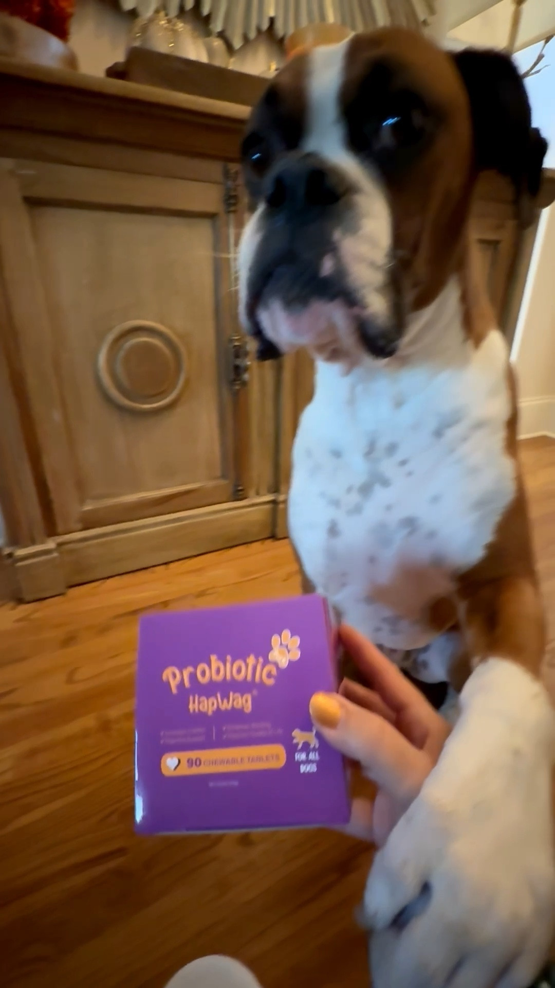 I give my boxer, Bruno, probiotics every morning to help keep his gut health healthy! We call his probiotics treats and he loves getting them every morning! He gets 3 a day because he’s a big boy🤣

#LTKPets #LTKActive #LTKFindsUnder50
