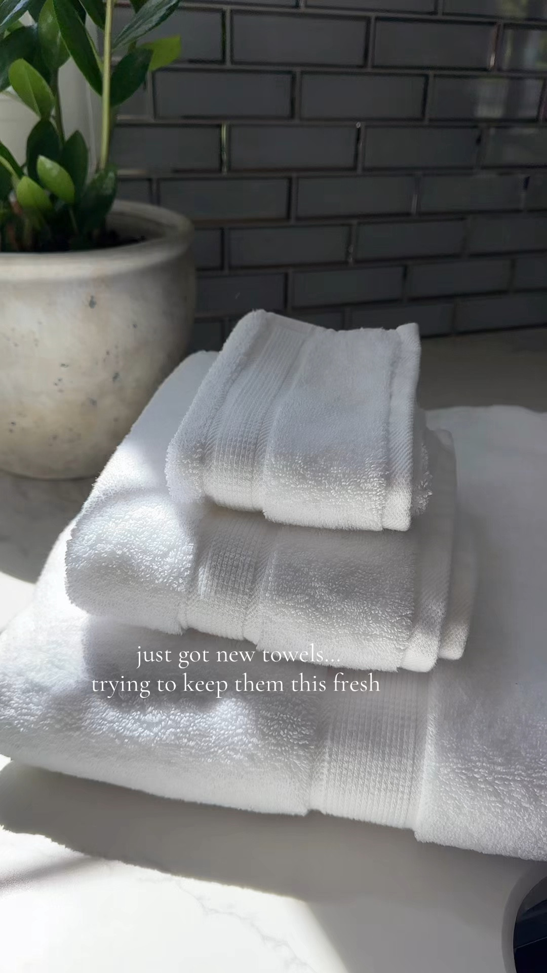 The secret to ultra-soft, hotel-quality towels at home 🤍
These are the exact laundry products + simple steps I use every time for that fresh, fluffy feel. Saving this routine = game changer 🙌

#LTKhome #LTKfinds #LTKunder50 #LTKstyletip
#laundryroom #laundryroutine #cleanhome #homehacks
#towelcare #softtowels #freshlinens #homedetails
#homeessentials #cleaningtips #organizedhome
#laundryday #homesetup #cozyhome #simplehome