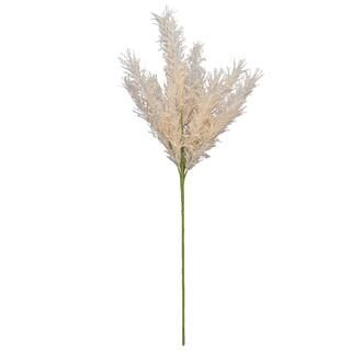Cream Tall Pampas Broom Stem by Ashland® | Michaels Stores