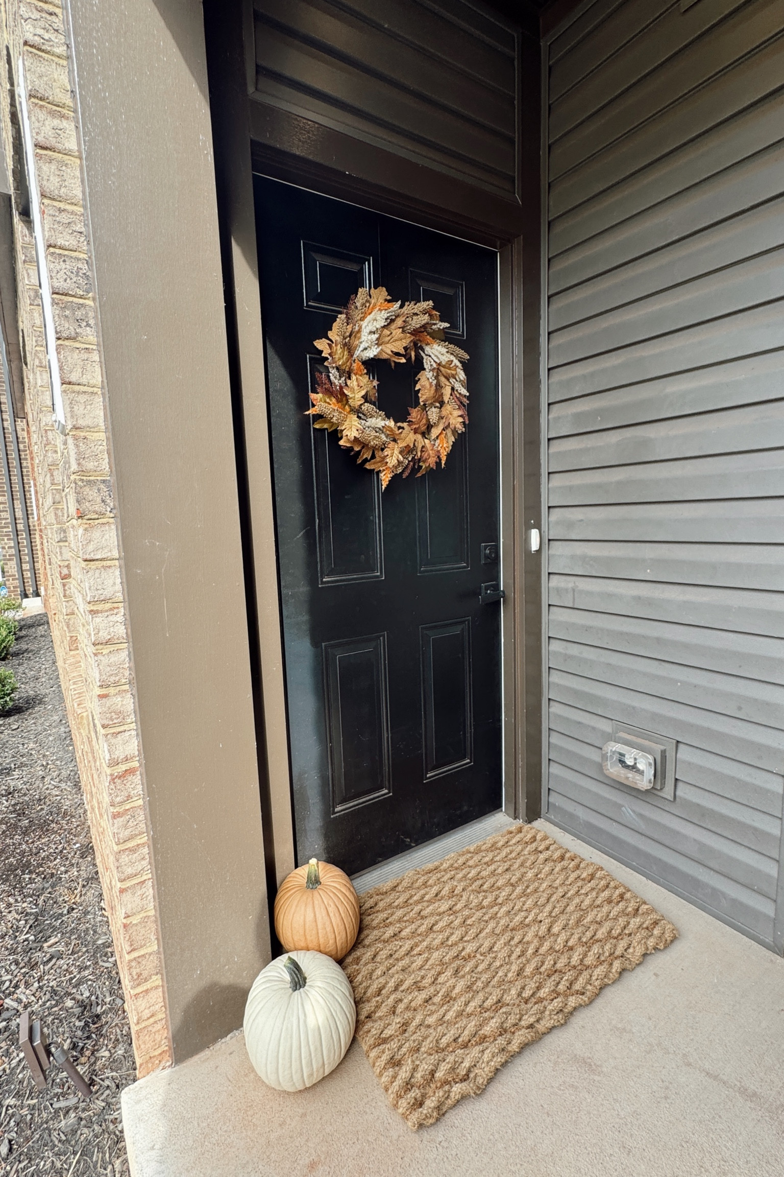 a touch of fall 😌

#LTKHome #LTKSeasonal #LTKFallSale