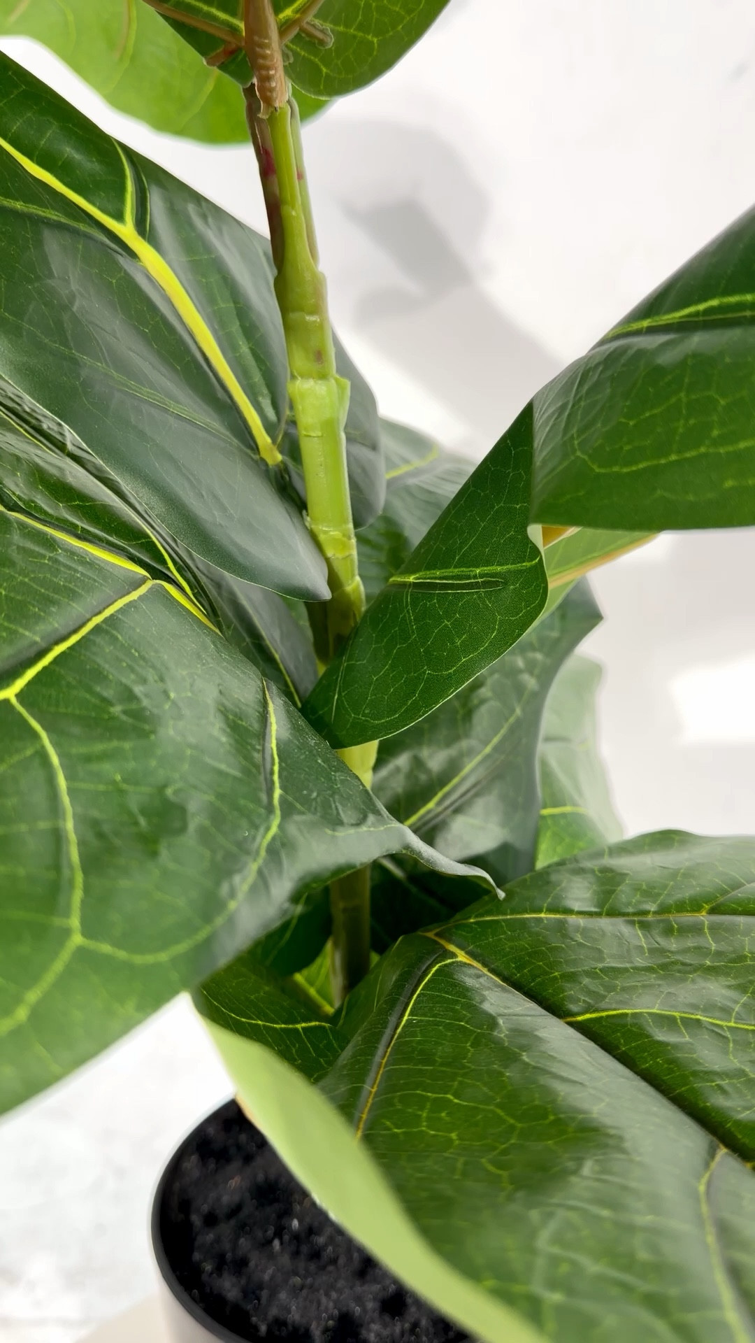 These scents are perfect for the spring and summer season 🌸 They smell fresh and clean! @Havyn Co 

#LTKBeauty #LTKselfcare