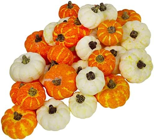 32 Pcs Assorted Artificial Baby Boo Mini Pumpkins Rustic Harvest Pumpkins Decorative Pumpkins in ... | Amazon (US)