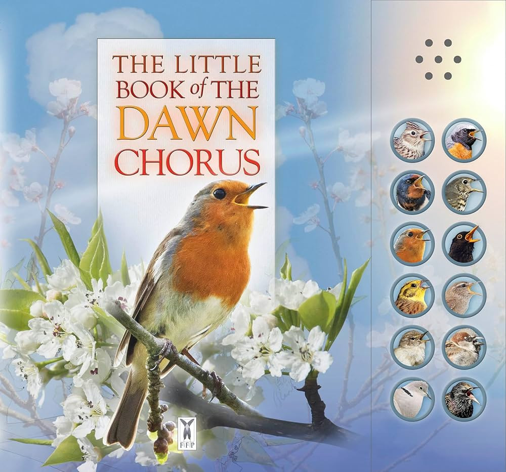 Little Book Of The Dawn Chorus | Amazon (US)