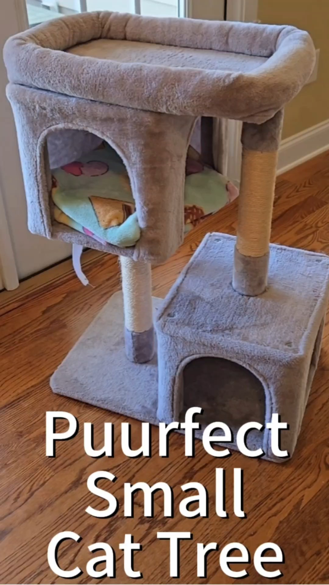 This mini cat tree has quickly become my cats’ favorite spot 🐾✨ Perfect for small spaces and endless entertainment.

#LTKPets #LTKHome #LTKFindsUnder50