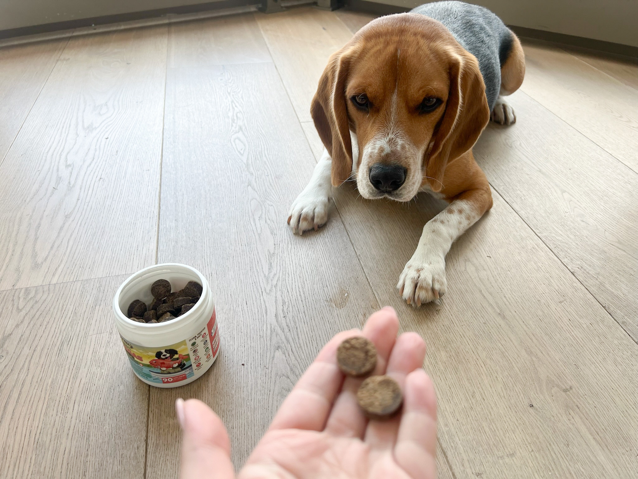 Support your pup’s health in the tastiest way 🐶✨ with Bernie’s OMG! Omegas chews for dogs! Packed with powerful omega-3s like DHA and EPA, these soft chews help promote a shiny coat, healthy skin, and overall wellness 💖🐾. They’re made to be easy to give (and super tasty), making daily supplements feel like a treat 👀✨. Trust me, your furry bestie will be obsessed 💕

#dogsupplements #doghealth #petwellness #dogcare #healthypets #petessentials #dogsofinstagram #petlove #doglife #furbaby #petparents #dognutrition #shinycoat #healthydogs #petcare #dailyroutine #ltkpets #ltkfinds #petmusthaves #doglovers #petinspo #happydog #dogproducts #petlifestyle 

 